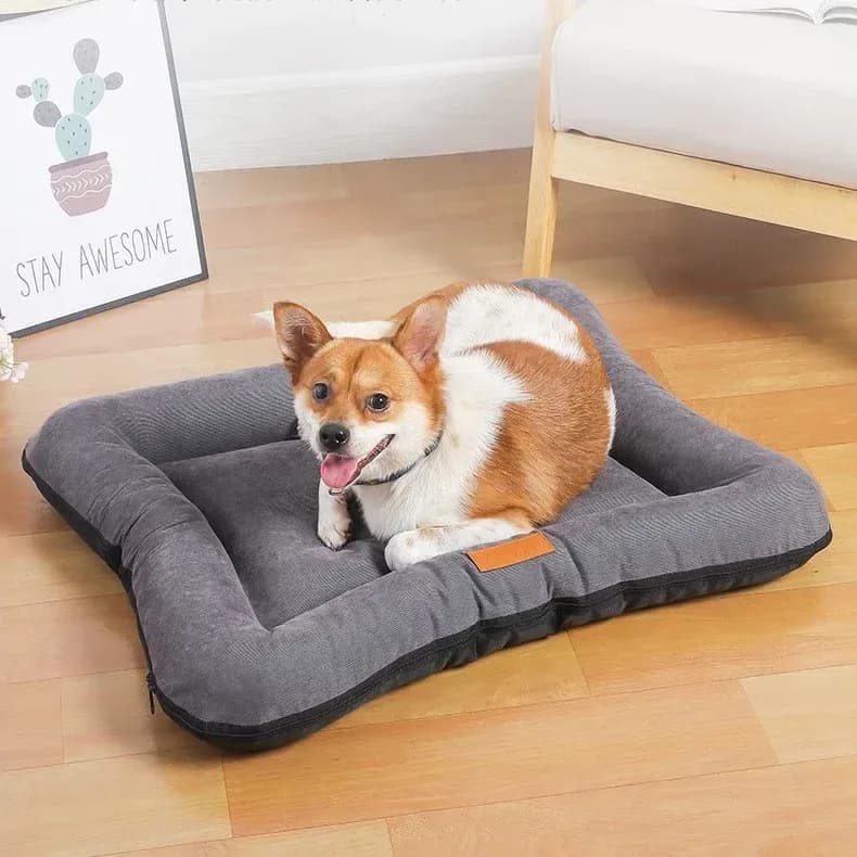 corgi lying on a grey foldable travel dog bed