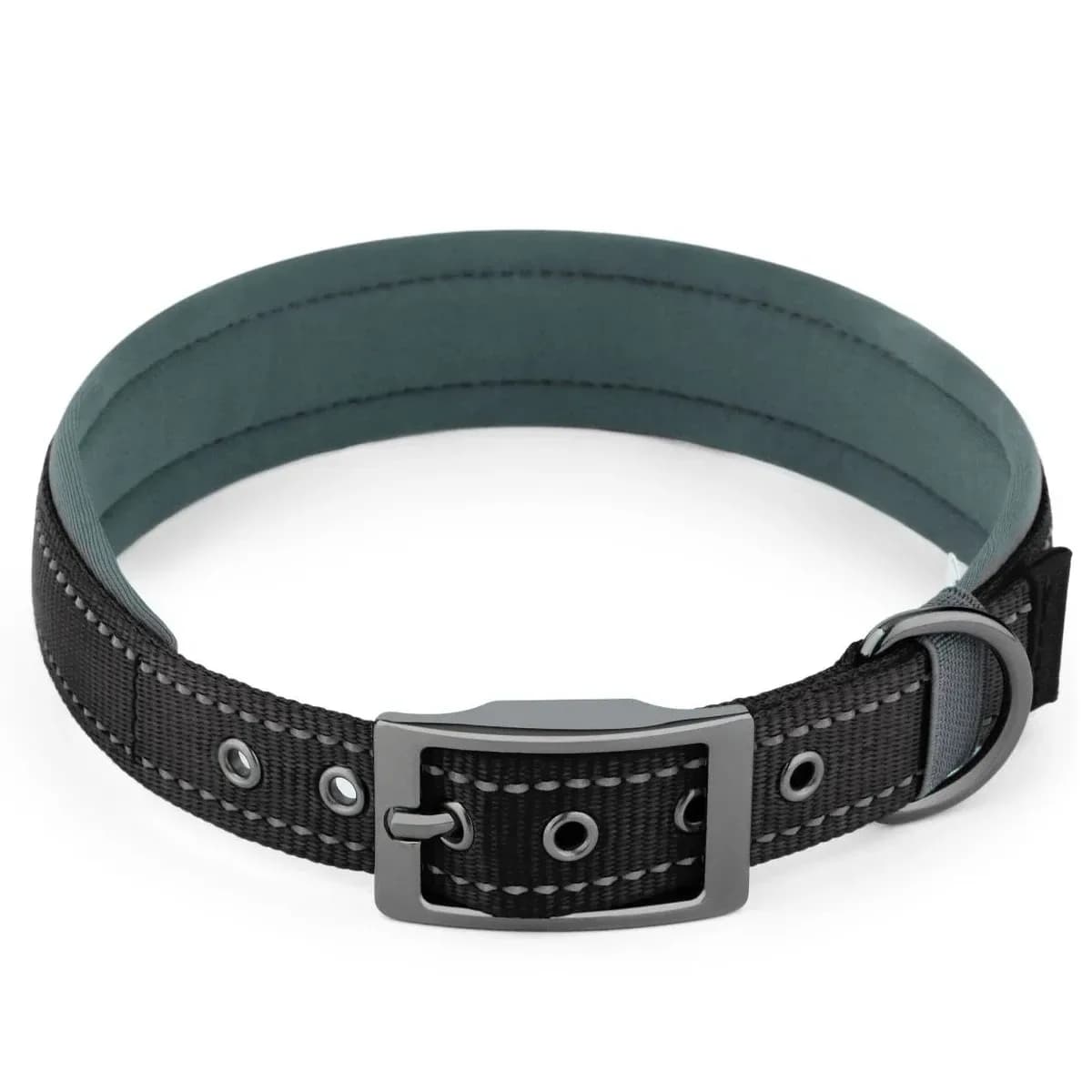 padded reflective dog collar in black