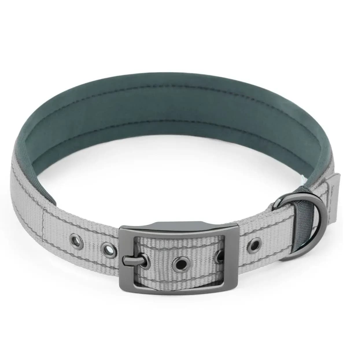 padded reflective dog collar in gray