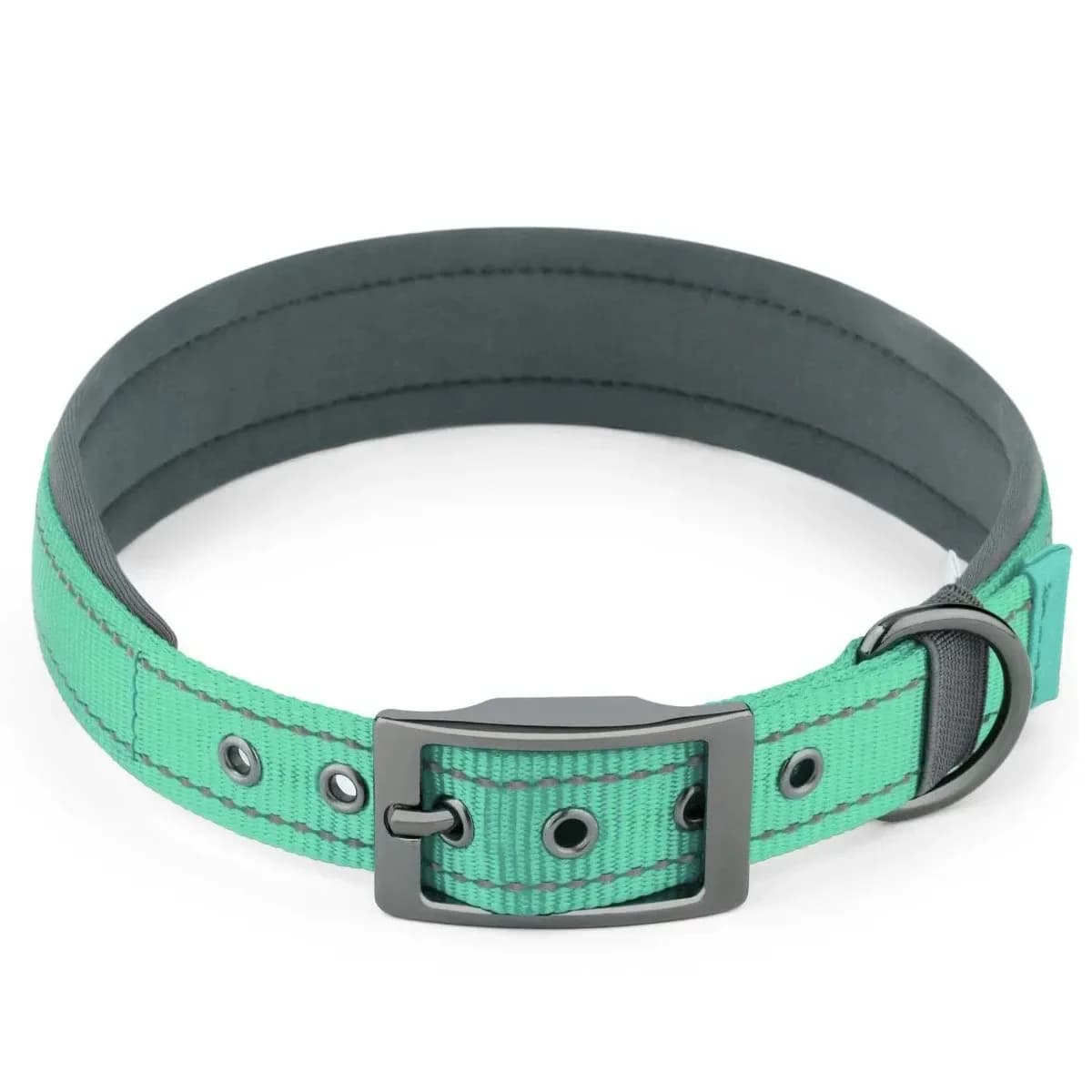 padded reflective dog collar in mint