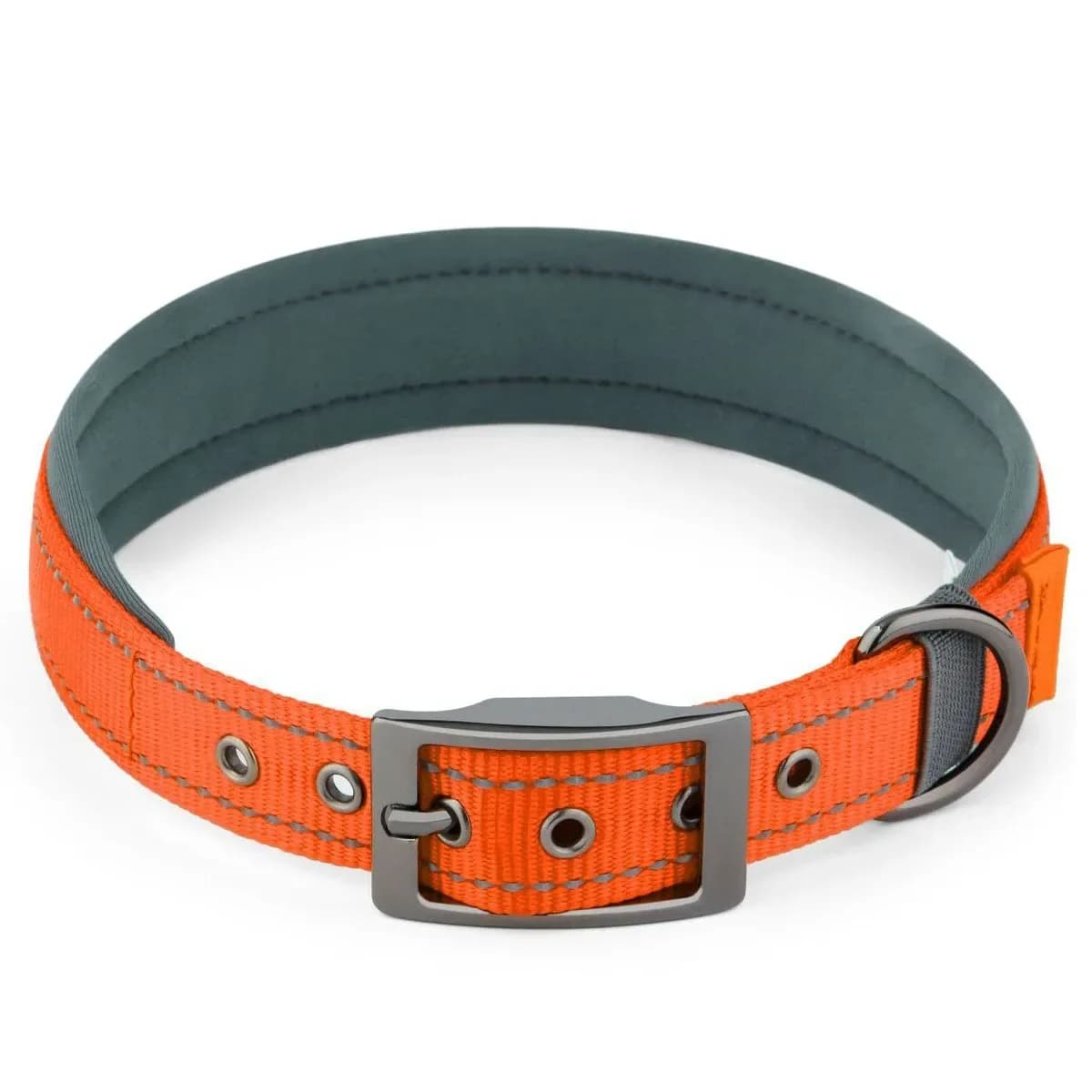padded reflective dog collar in orange