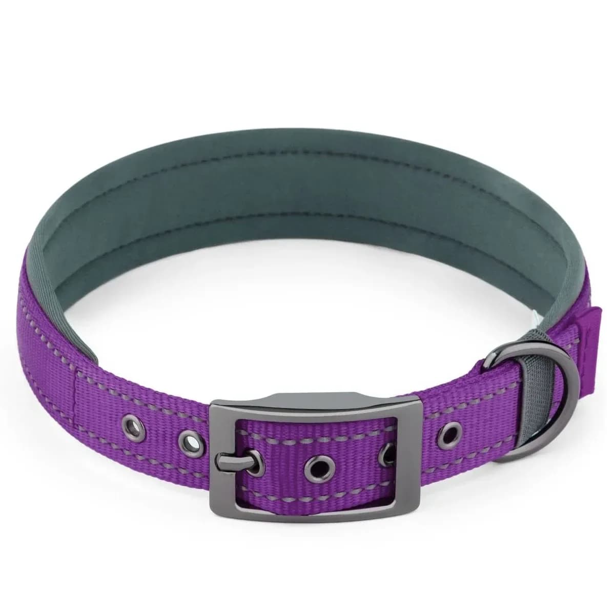 padded reflective dog collar in purple