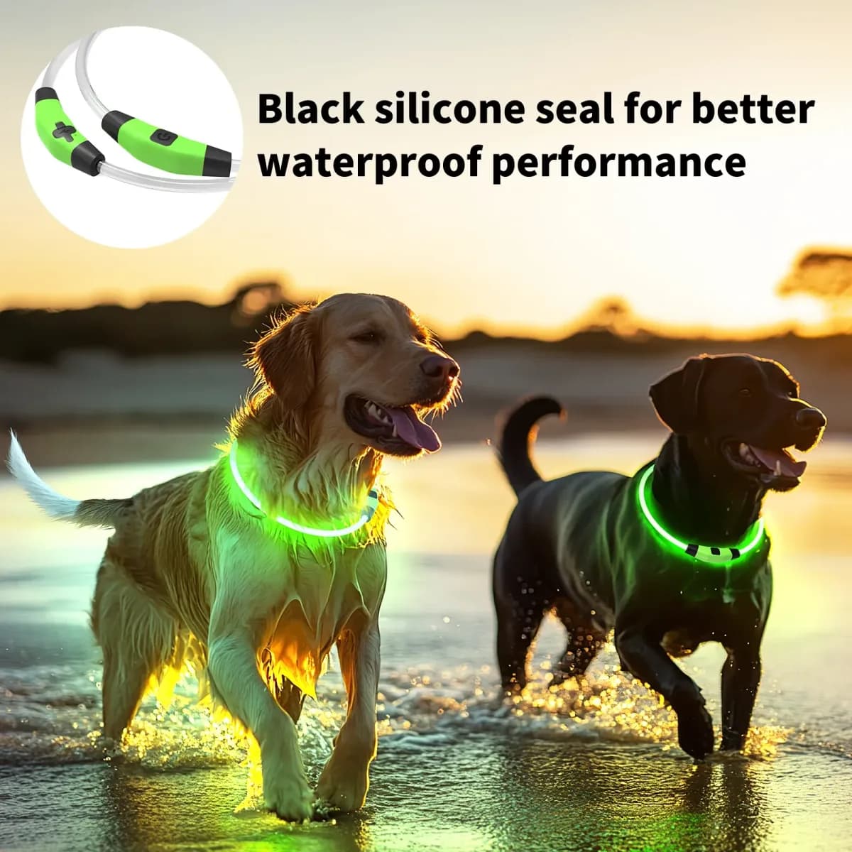 two dogs wearing LED dog collars on a beach at dusk