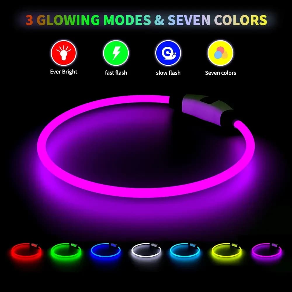 LED dog collar glowing modes and colors