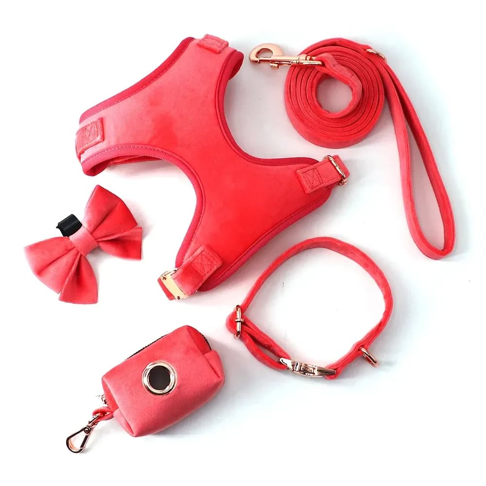 velvet dog harness set in coral