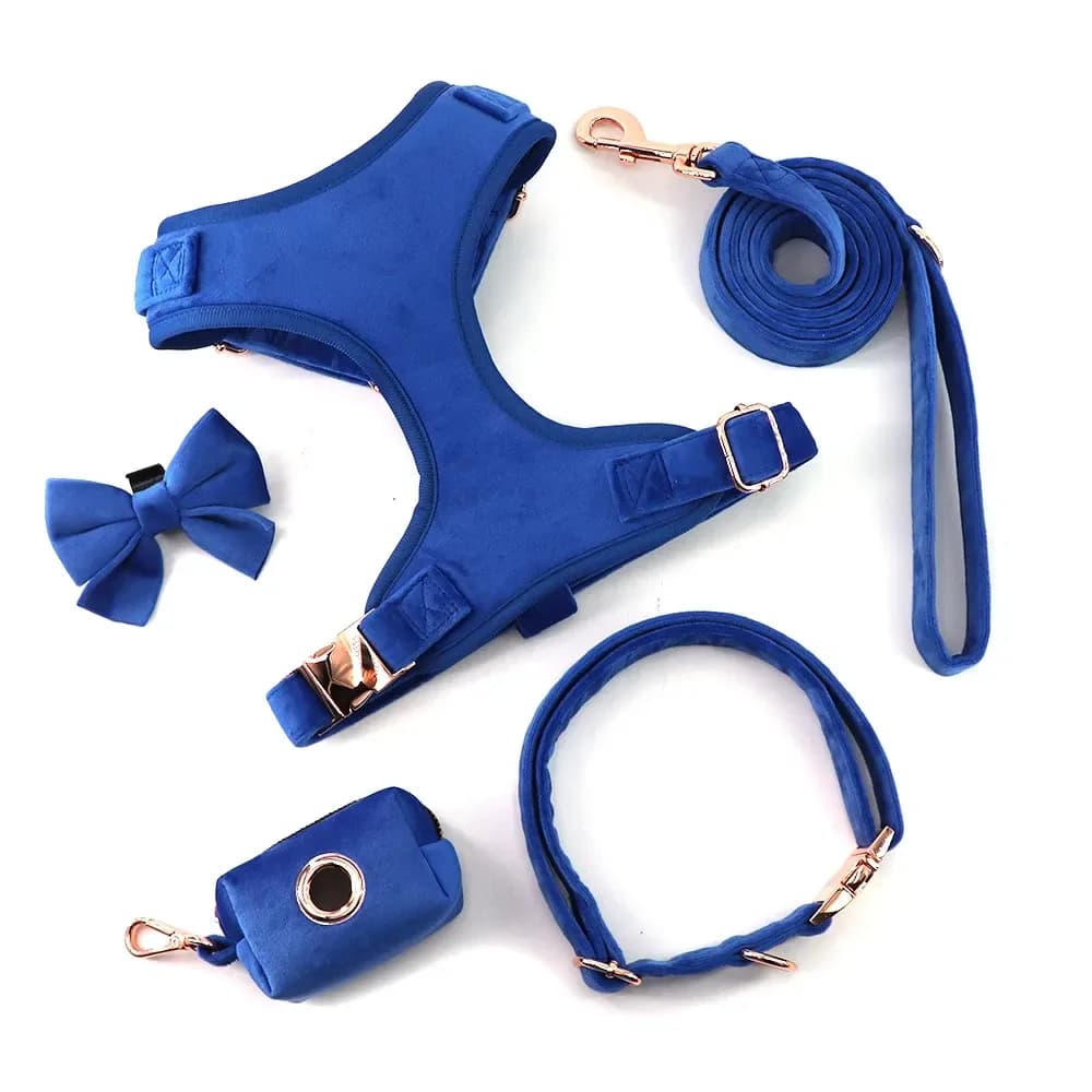 velvet dog harness set in royal blue