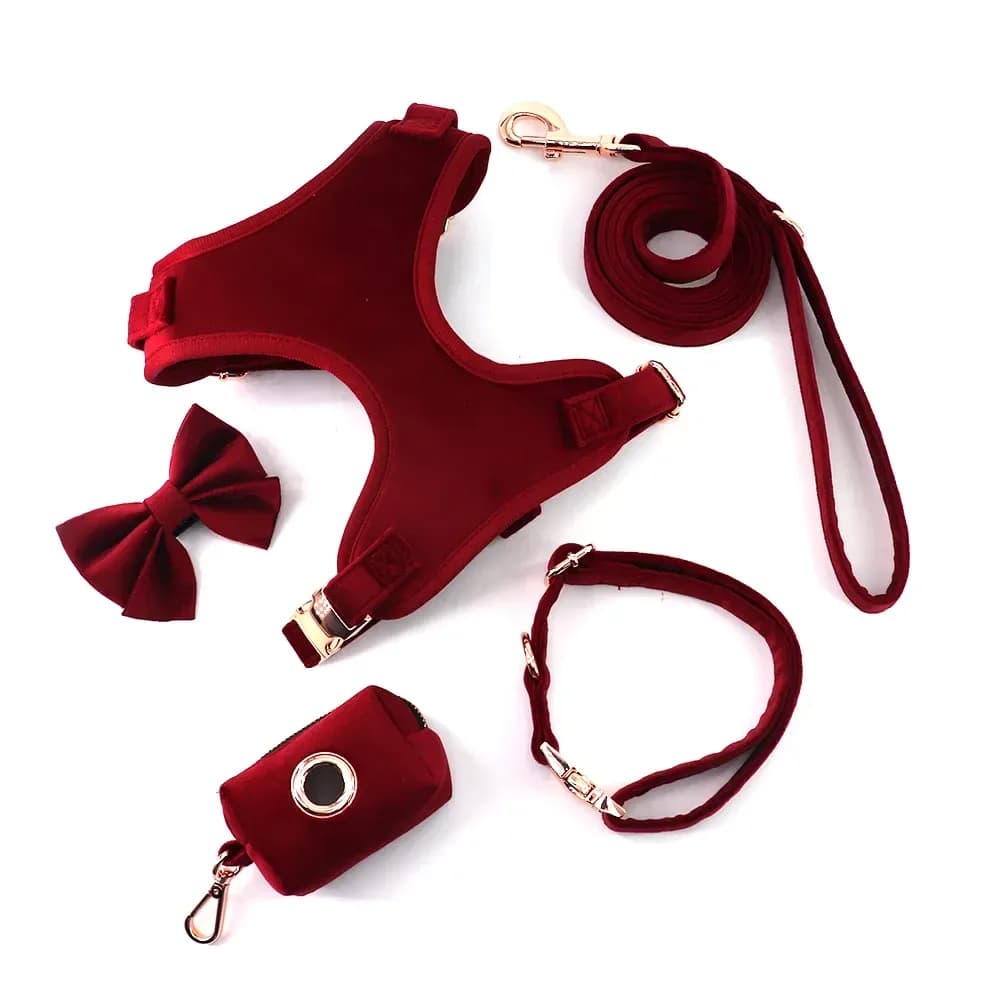 velvet dog harness set in wine red