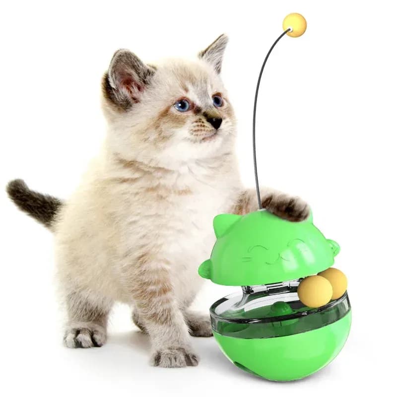 Kätzchen mit einem grünen Futterball für Katzen