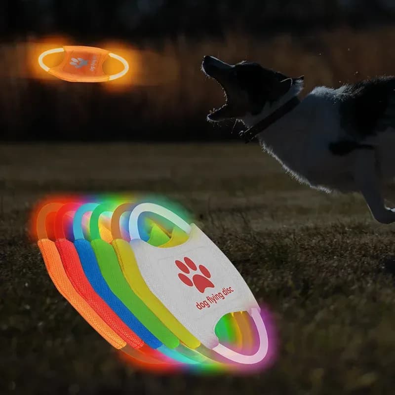 dog leaping for a glowing LED flying disc at night