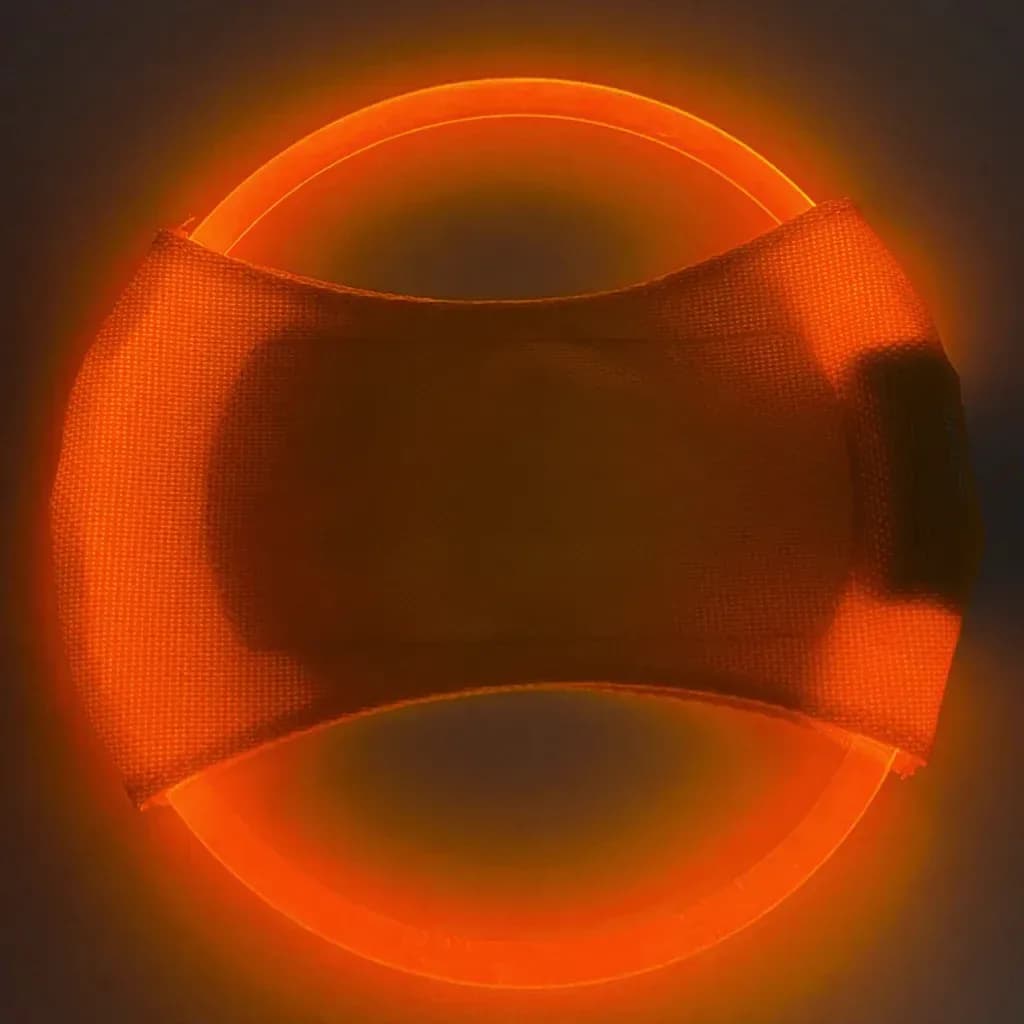 LED dog flying disc glowing orange