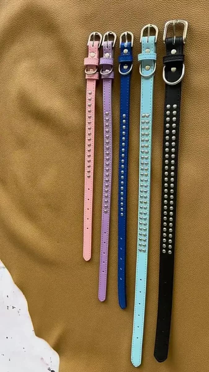 studded dog collars laid flat from small single row to large double row
