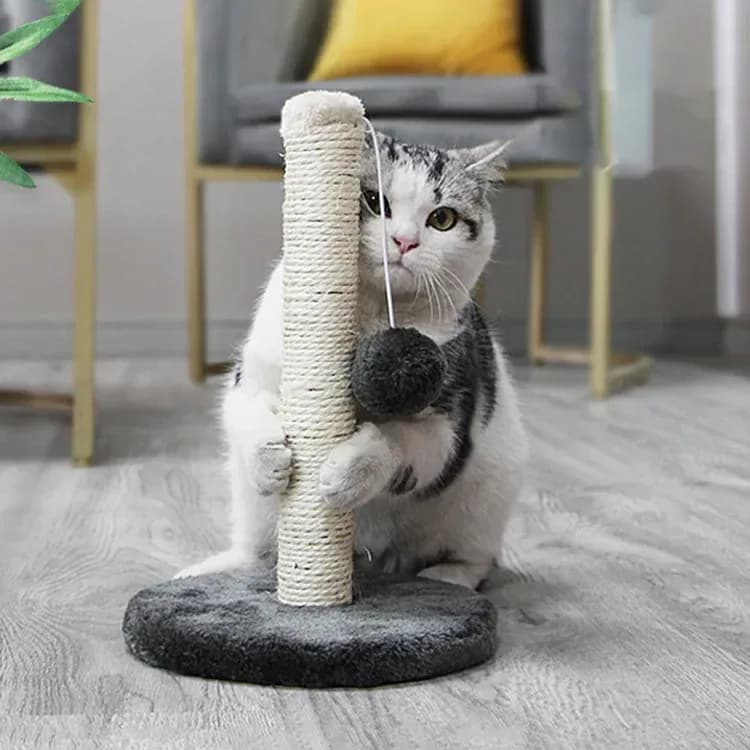 cat hugging a sisal cat scratching post and batting the pom pom