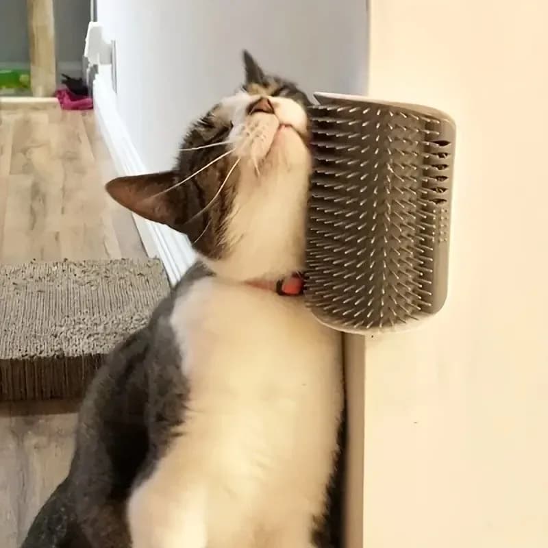 tabby cat using a wall mounted cat corner self groomer