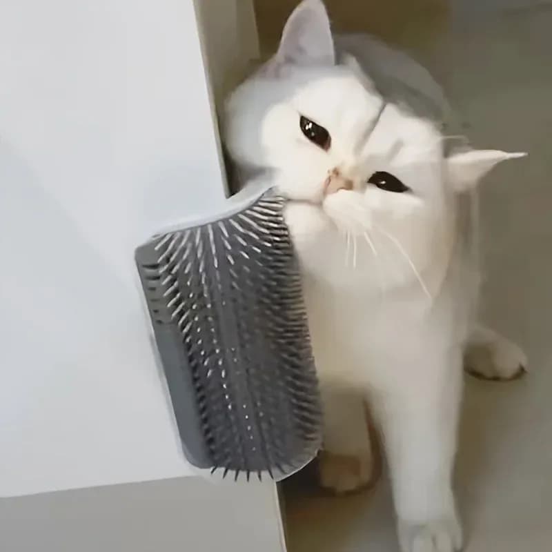 white cat rubbing its cheek on a cat corner self groomer