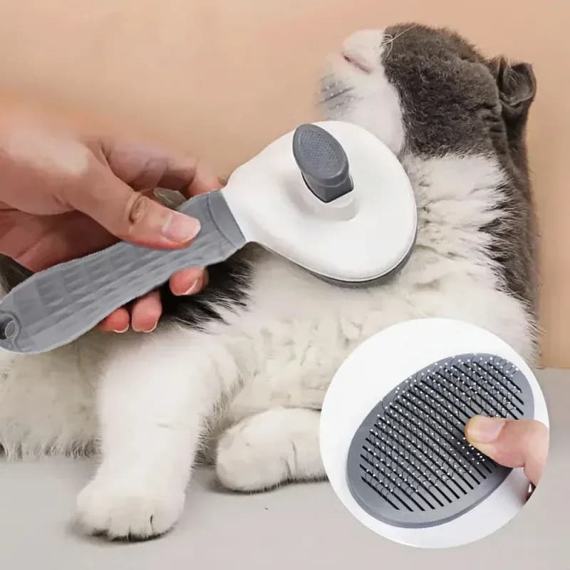 brushing a cat with a self cleaning slicker brush