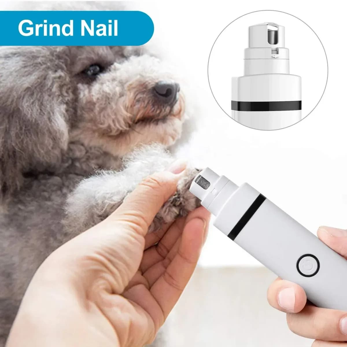 nail grinder head smoothing a dog's nails