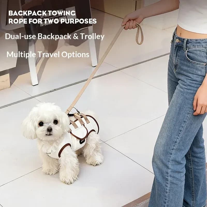 small dog walking on a leash while wearing the sling carrier