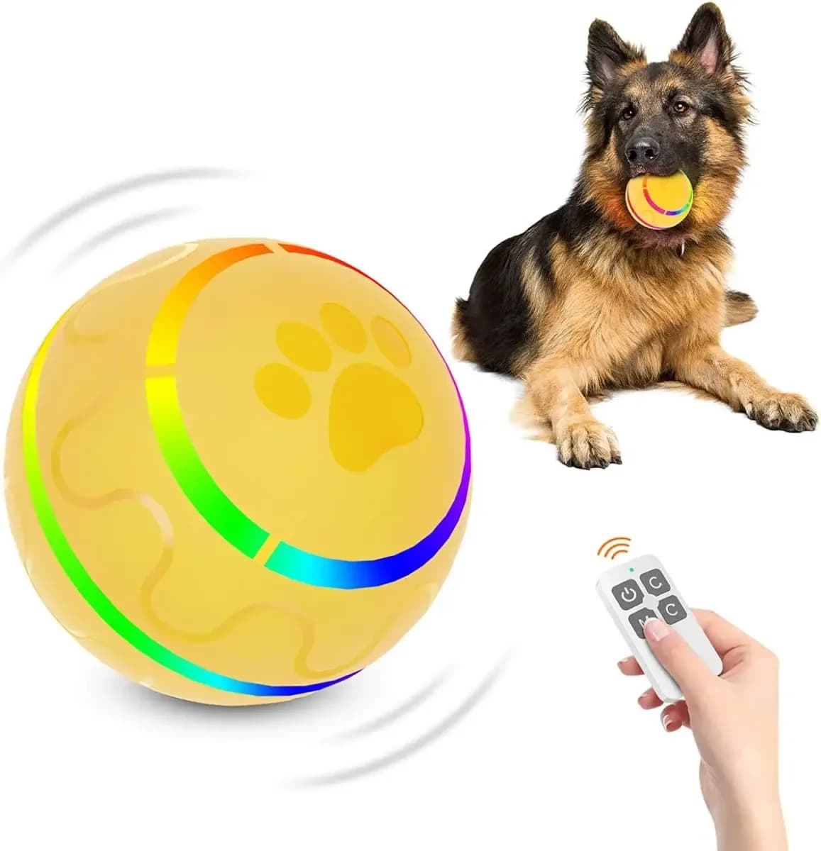 yellow remote control dog ball with remote and German shepherd