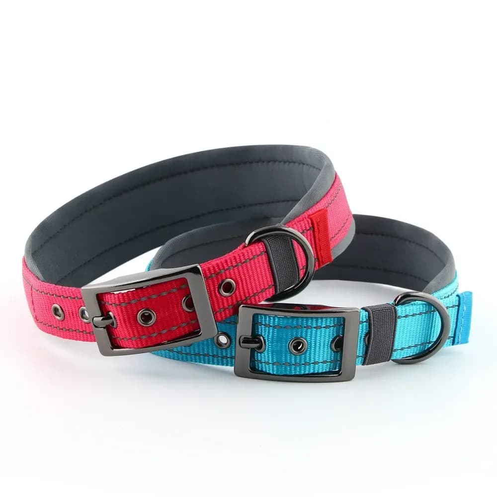 padded reflective dog collar in red and sky blue