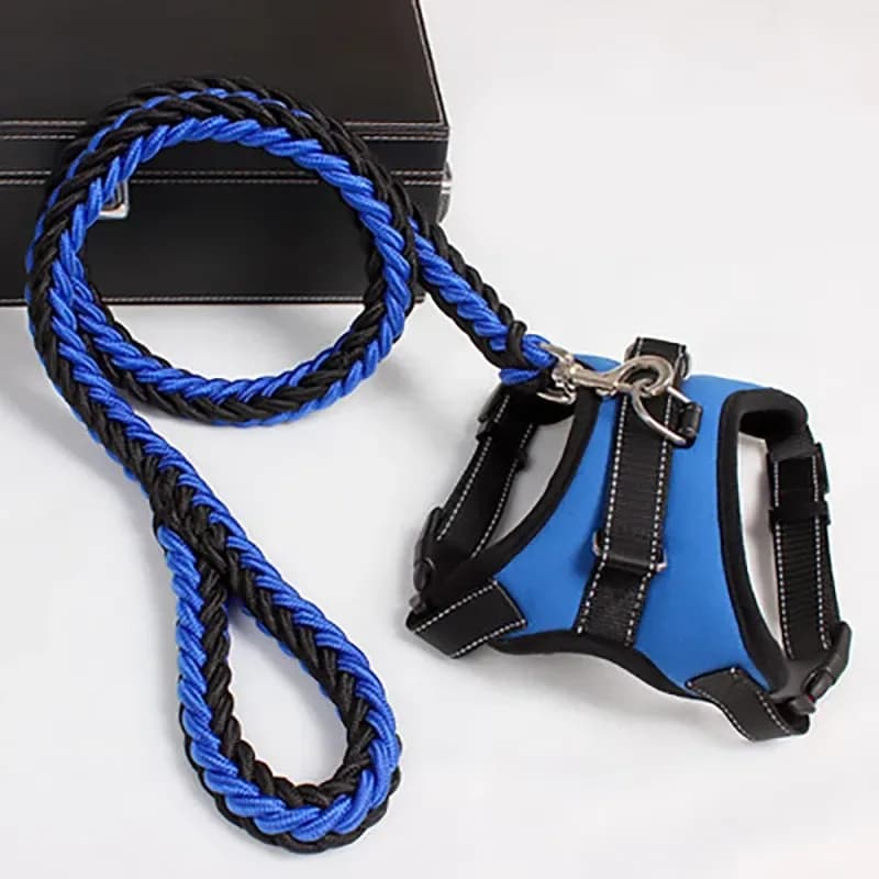 padded dog harness and braided leash set in blue