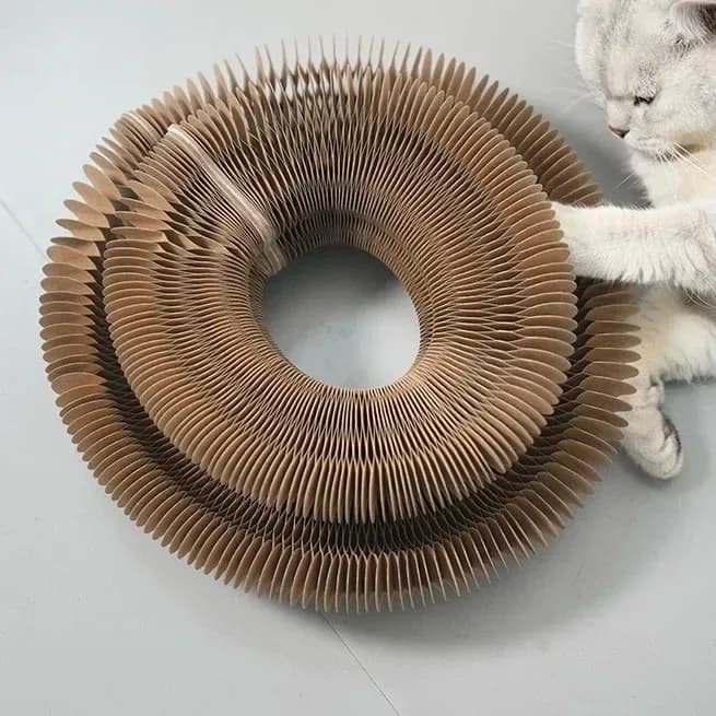 cat playing with the magic organ cat scratcher ring