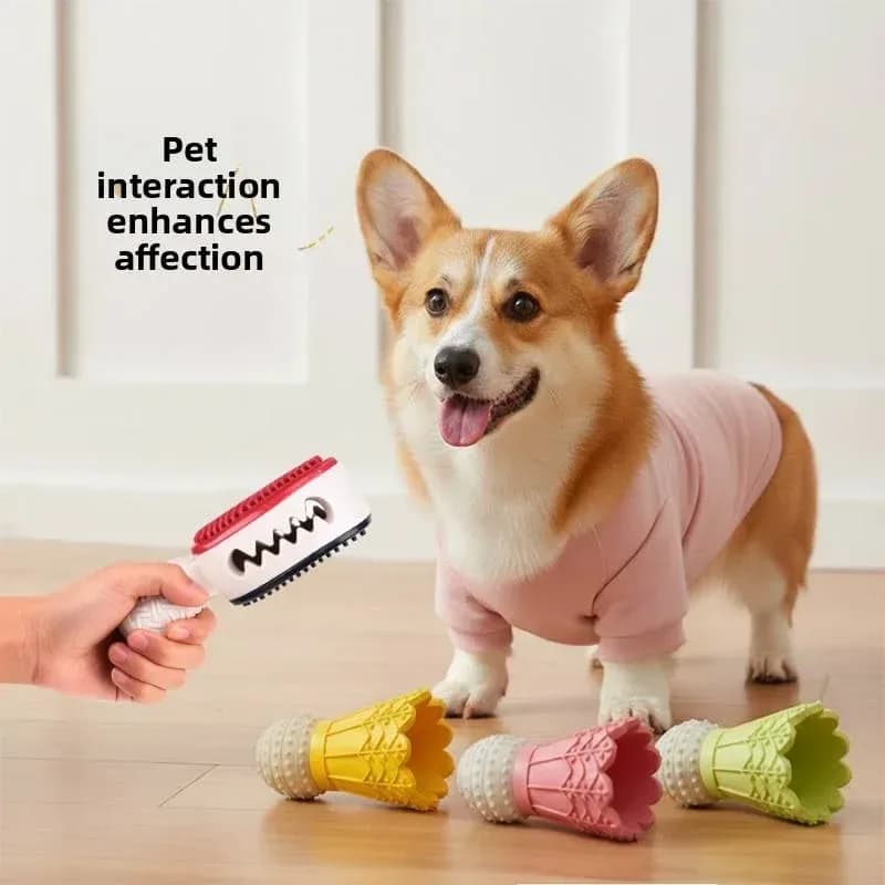 corgi with badminton shuttlecock dog chew toys and racket