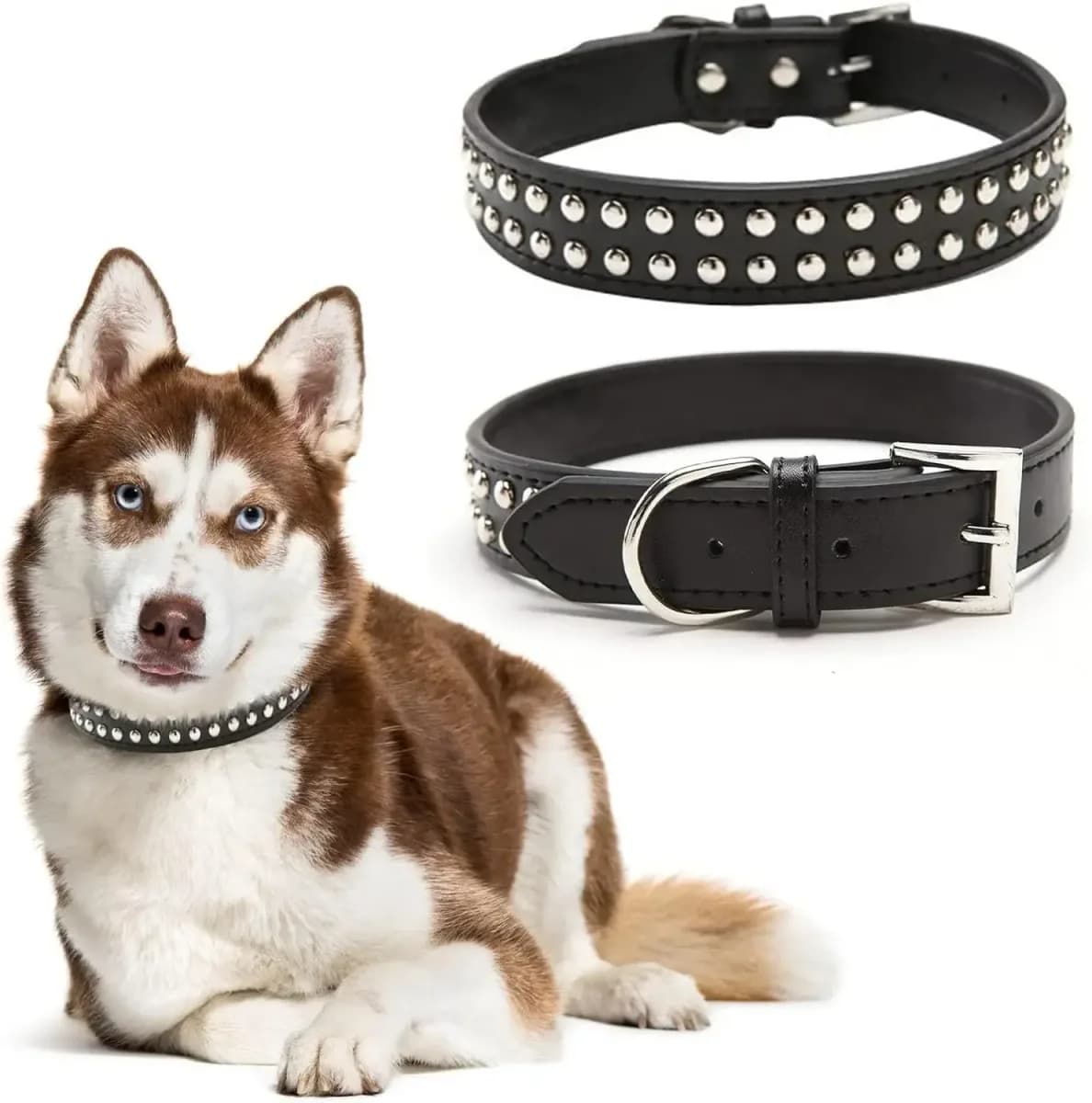 black studded dog collar on a husky, with front and buckle views